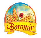 Logo sponsor 2 Boromir
